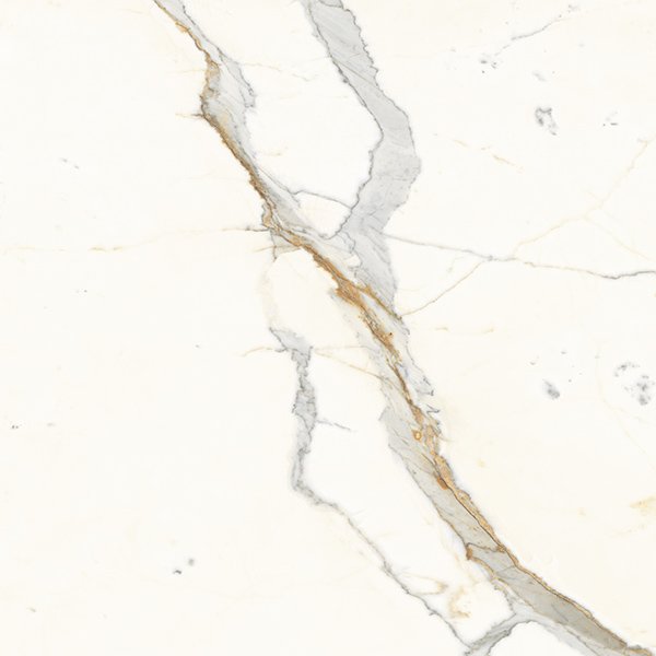 FRECIA WHITE-R1