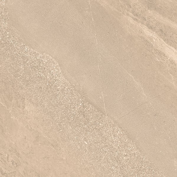LONDON CLAY-1